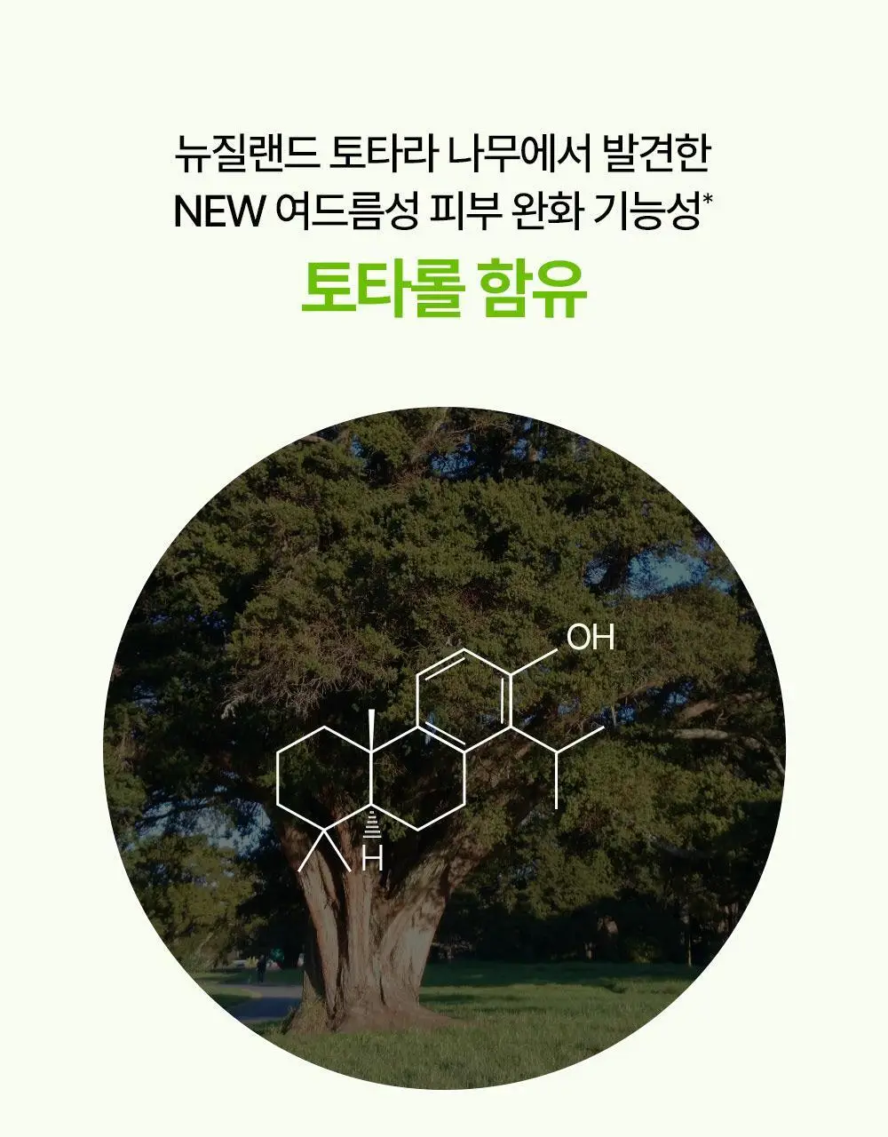 [여드름/쿨링] 리얼베리어 컨트롤-T 티트리 AC 쿨링 클렌징젤 200ml 기획 (+30ml) 상세페이지 12